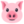 pig