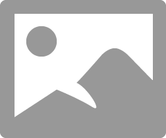 MiAmigo_0-1646213451350.png