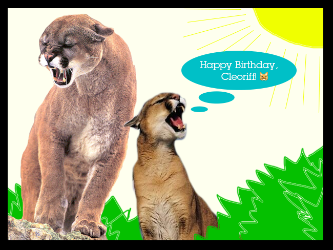 Happy Birthday Cleoriff card