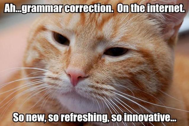 grammar_correction_cat.jpg