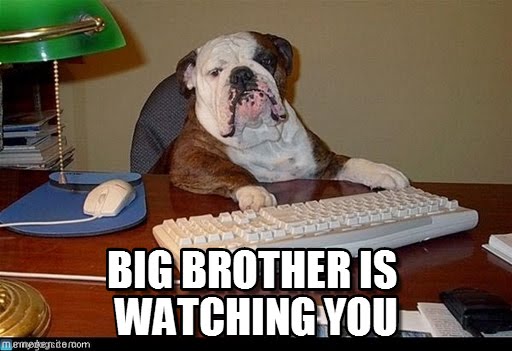 bulldog.jpg