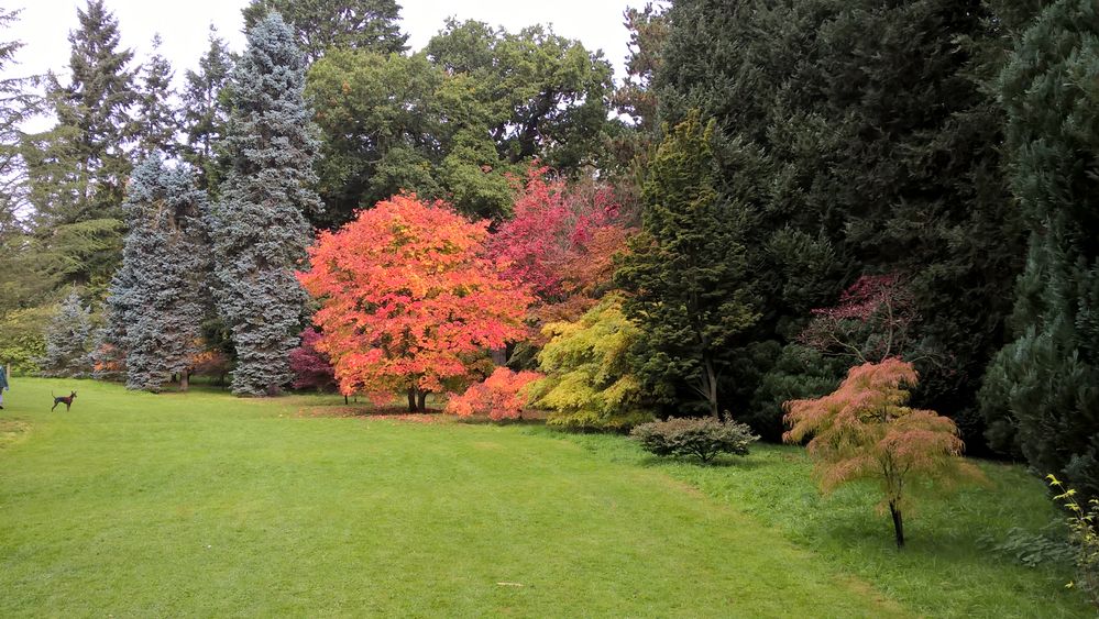 WP_20151014_11_26_16_Pro.jpg