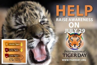 International Tiger Day