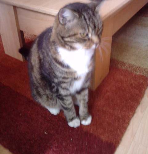 Bugsy Big July16.jpg