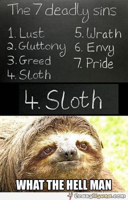 seven-deadly-sins-sloth-funny-animal.jpg