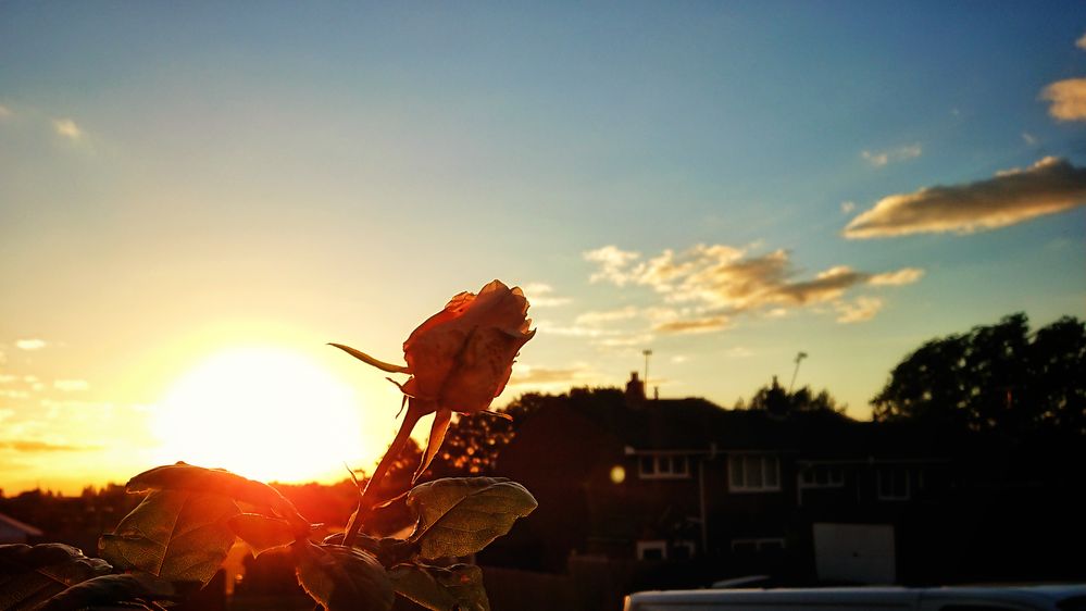 DSC_0032-01.jpeg