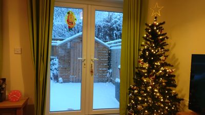 IMG_20171210_082154.jpg