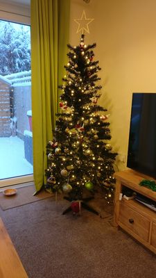 IMG_20171210_082851 (002).jpg