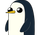 bob8