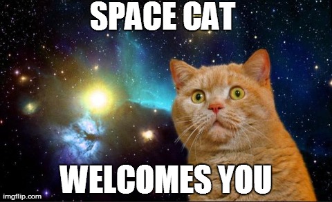 Space Cat