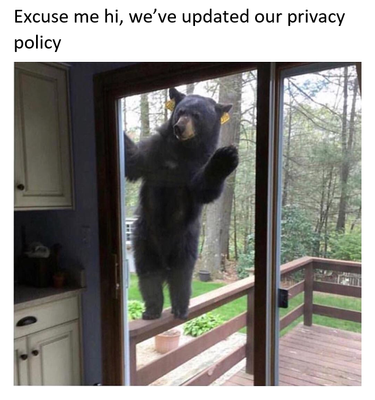 Bear.jpg.png