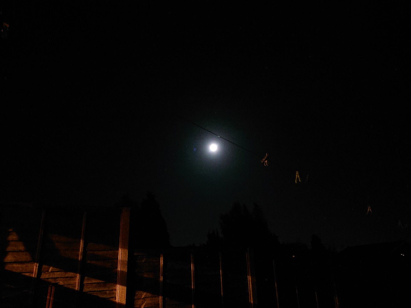 DSC_0010.jpg