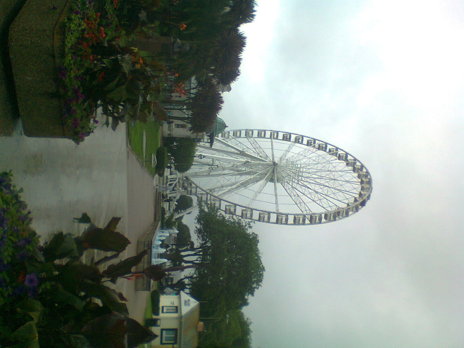 wheel