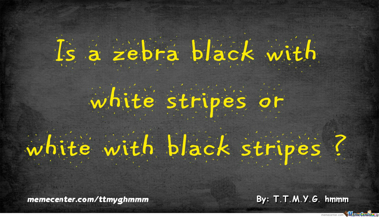 things-that-make-you-go-hmm-zebra_o_1327157.jpg