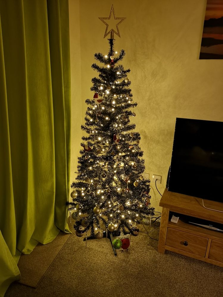 xmastree.jpg