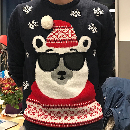 Next polar shop bear christmas jumper