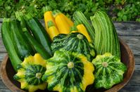 Summer Squash Mix.jpg