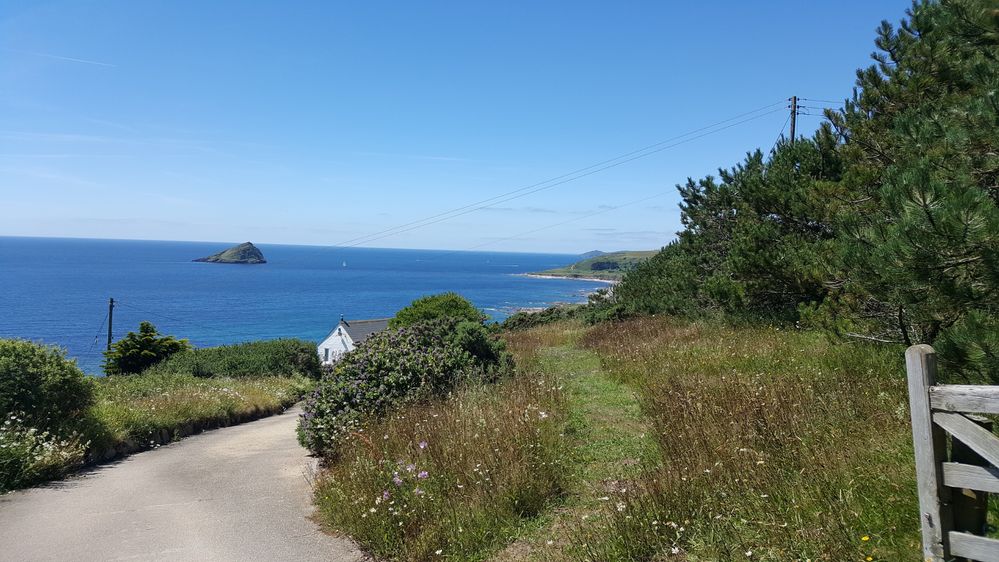 Wembury July 2017 (1).jpg