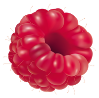 raspberry-png-clipart-best-web-clipart-raspberry-png-752_745.png