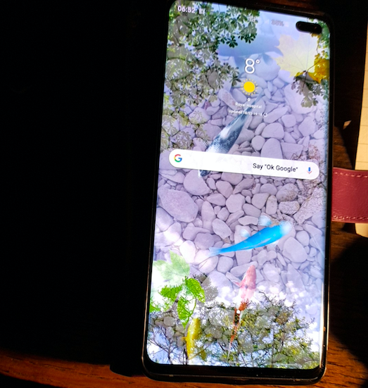 Screenshot 2019-03-19 at 08.31.45.png Screenshot 20**Personal info** at 08.31.45.png