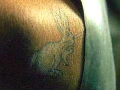 800x600-matrixwhiterabbittattoo.jpg