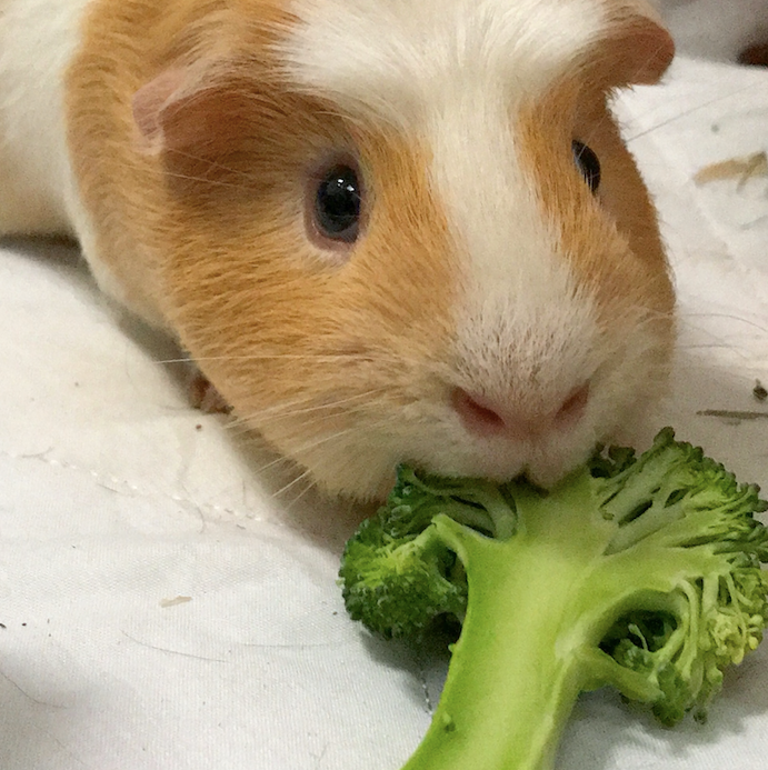 Screenshot 2019-09-13 at 14.11.09.png