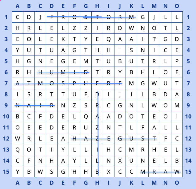 Word search grid