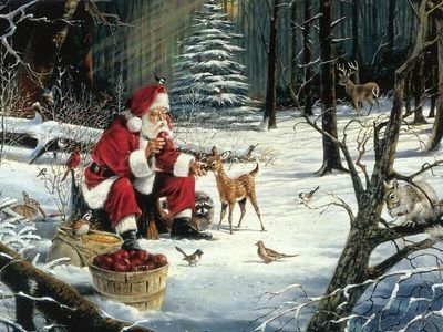 Santa caring for wildlife.jpg
