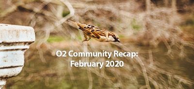 Community Recap February 2020 
