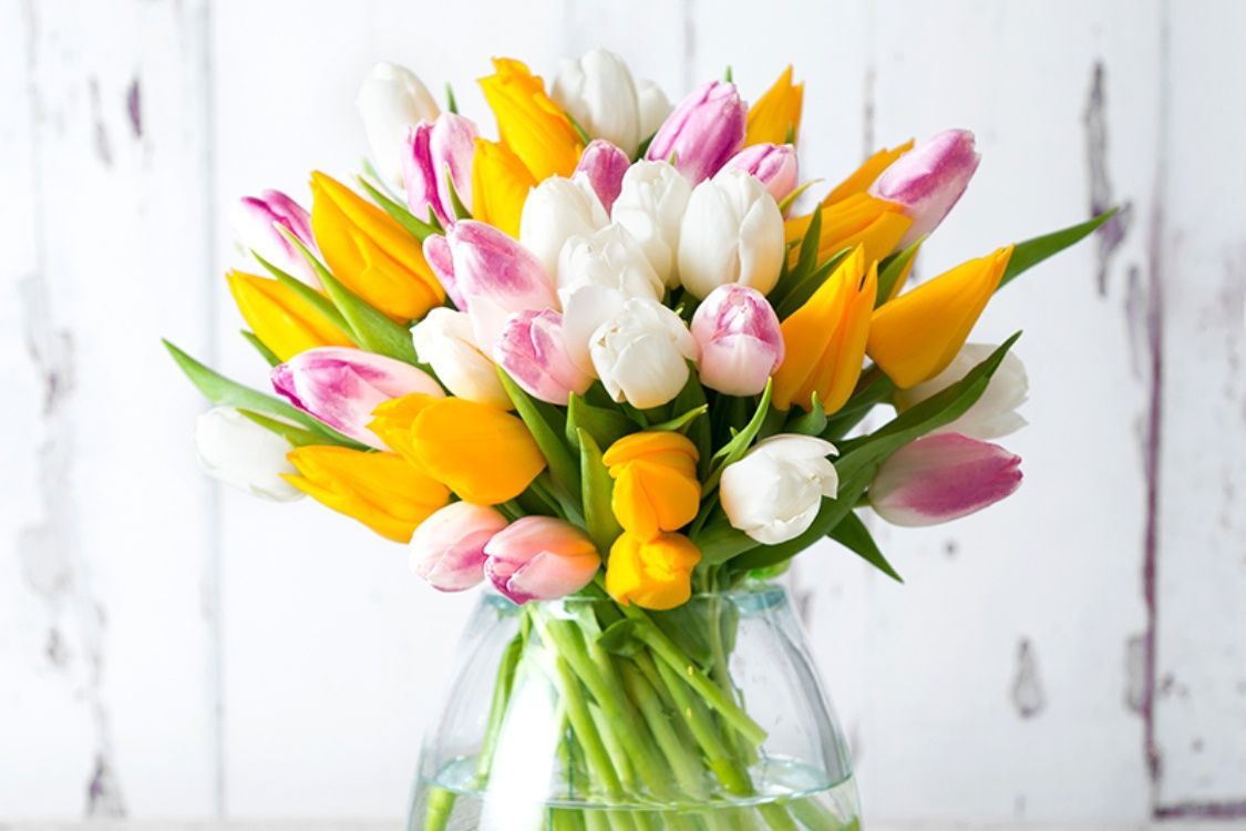 Тюльпаны круглый год. Букет разноцветных тюльпанов в вазе. Букет из разноцветных тюльпанов. Тюльпаны букет на солнце. Тюльпаны в круглой вазе.
