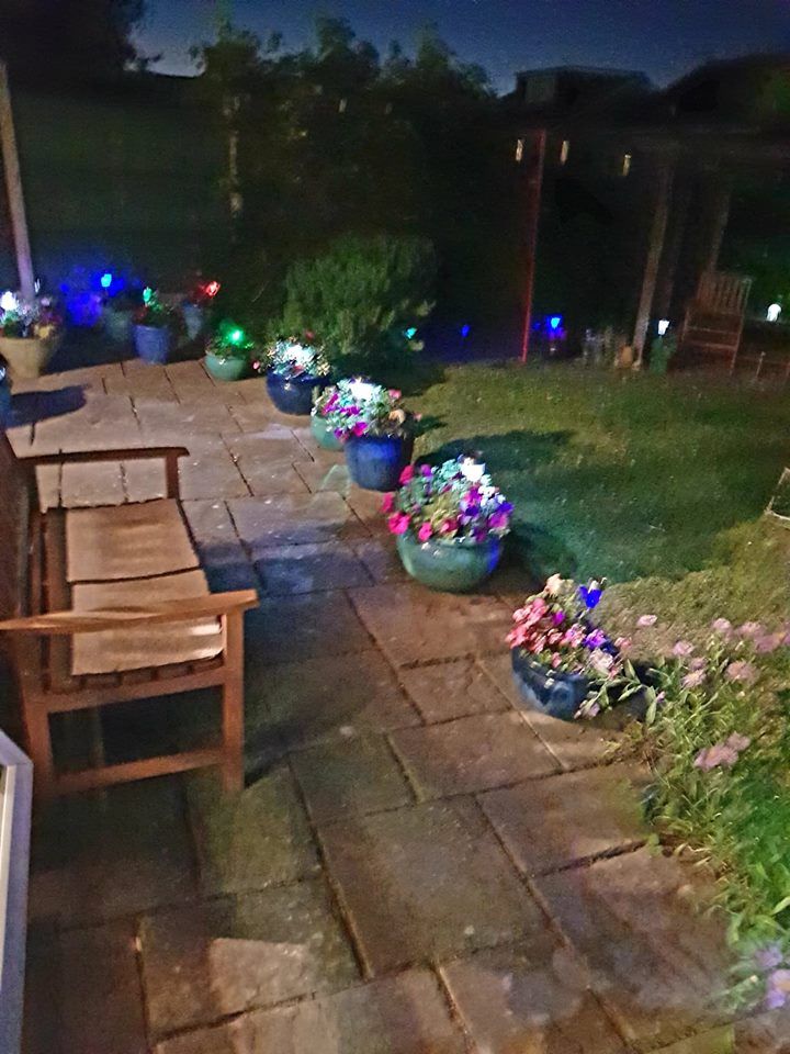 garden night 2018.jpg