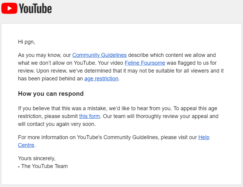 20**Personal info** 11_22_16-Your YouTube video has been age-restricted - p.g.newman**Personal info** - Gmail.png