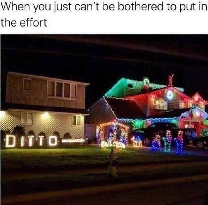 House Lights.jpg