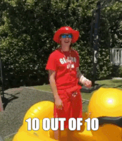 giphy - 20**Personal info**T230857.454.gif