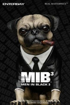 5ad57e159e63682bad906c12d7c4b53c--men-in-black-black-pug.jpg