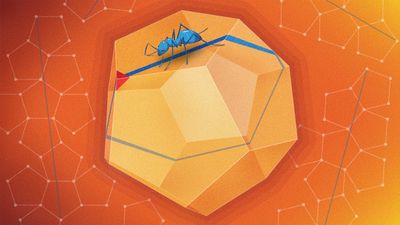 Dodecahedron_2880x1620_Lede.jpg