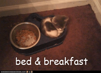 bed-breakfast.png