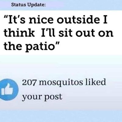 Mosquitos.jpg