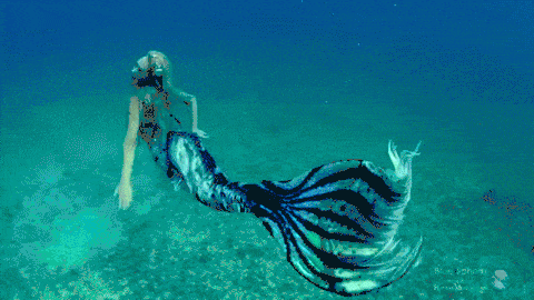 mermaid-gif.gif