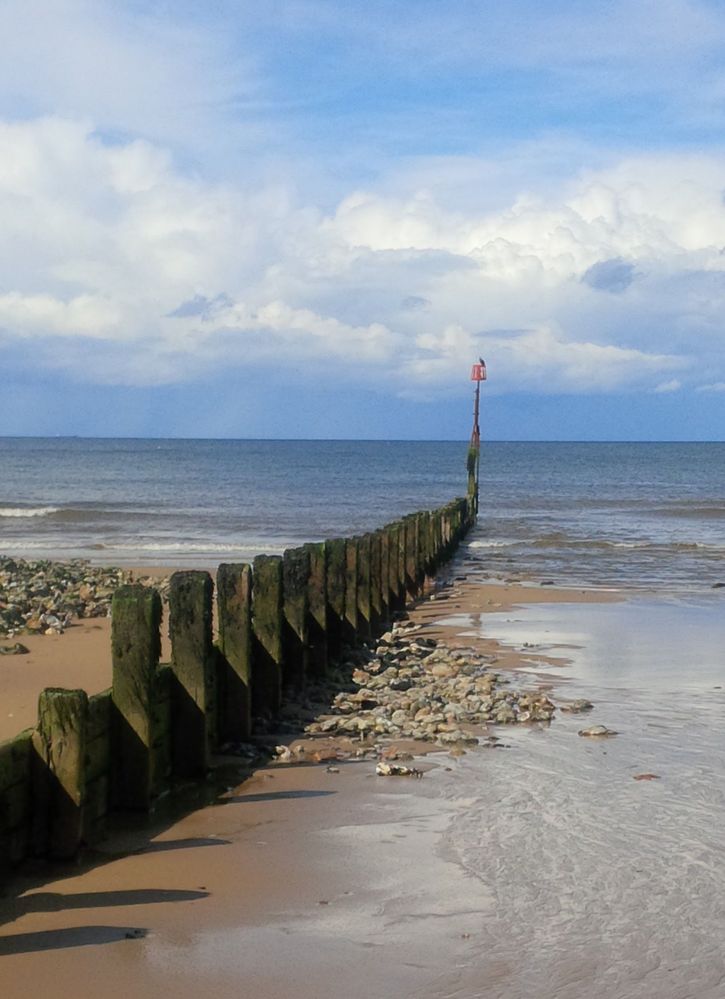 groyne.jpg