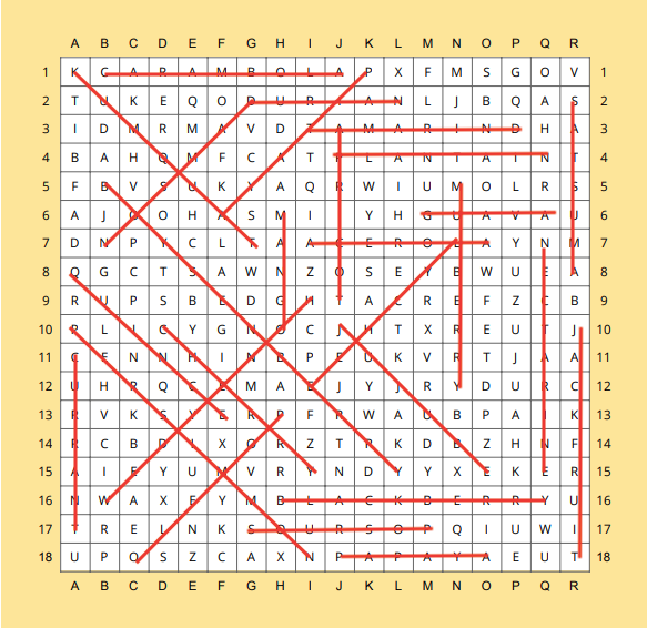 Word Search Solved.png