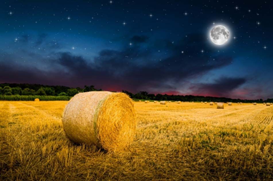 Harvest-Moon.jpg