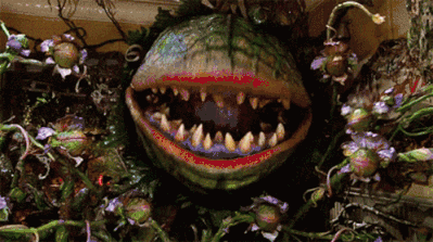 little-shop-of-horrors-plant.gif