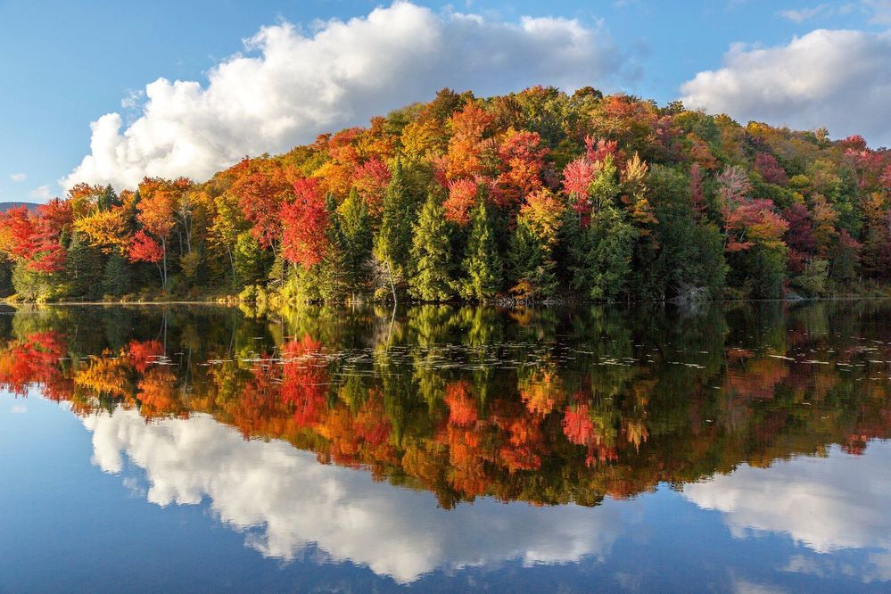 vermont-fall-foliage.jpg