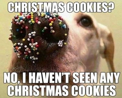 Christmas cookies.jpg