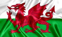 Welsh flag.jpeg