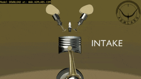 1.gif