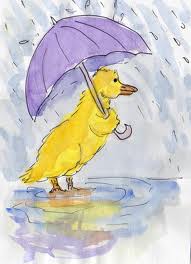 weather for ducks.jpeg