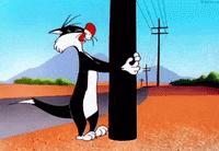 200w (6).gif