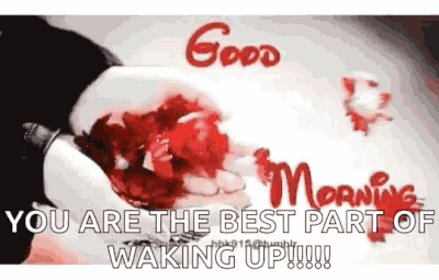 Cleoriff_1-1698408158061.gif